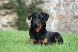 BEAUCERON 979